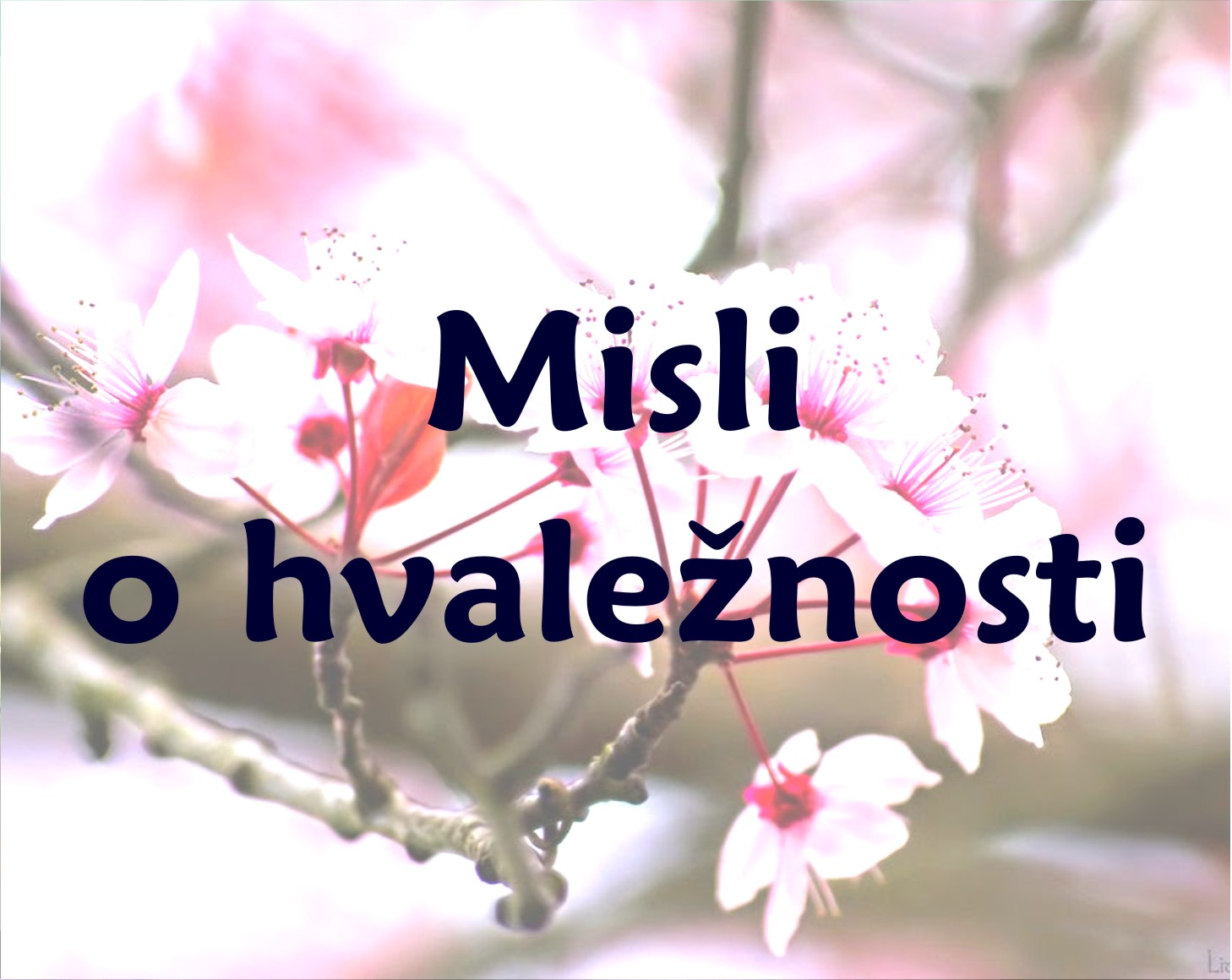 Blansh Creations | Lepe misli